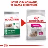 Dry dog food Royal Canin Mini Exigent 1 kg — small breed senior, 30% protein, 22% fat
