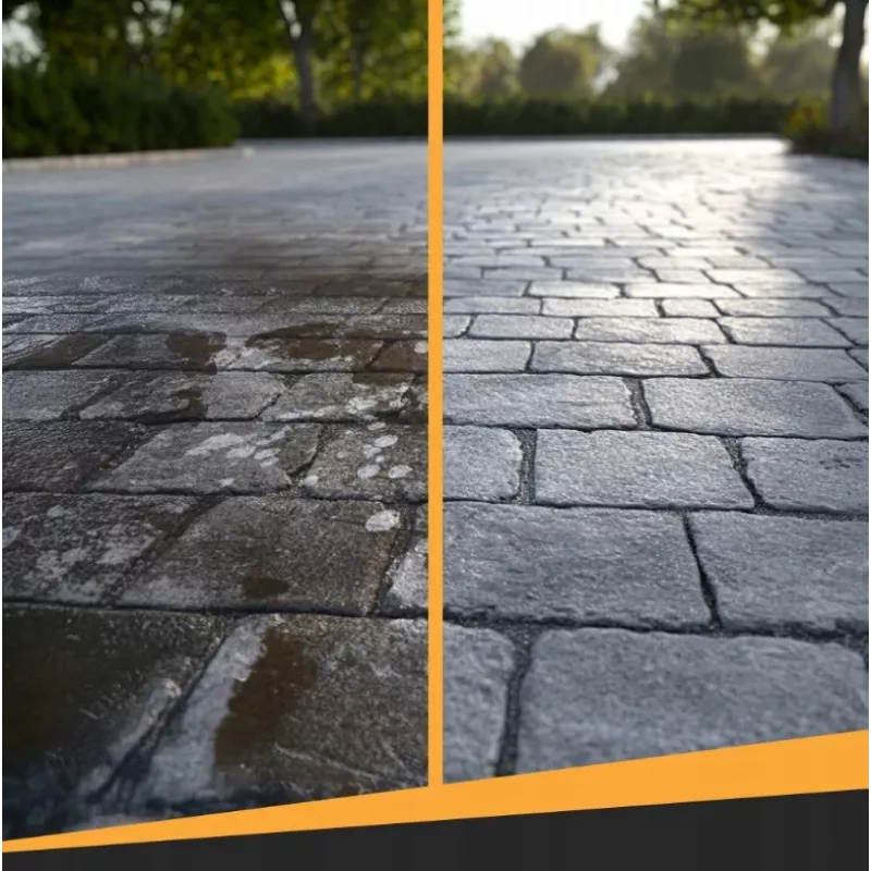 Cleaner for paving stones and natural stone FRISCHER 1000 ml concentrated formula