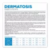 Dry dog food VETEXPERT Veterinary Diet Dermatosis Rabbit & Potato 2 kg — adult, monoprotein, grain/gluten/soy-free