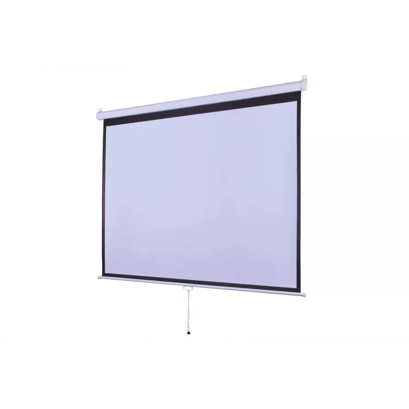 Projection screen Sponge Silelis 180 x 180 cm tripod mount, matte white surface, portable