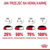 Wet cat food Royal Canin Urinary Care adult poultry 85 g sachet (12-pack)