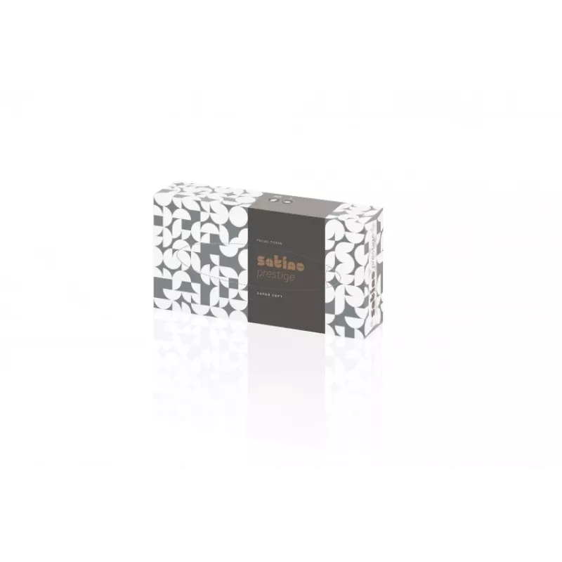 WEPA Prestige 2-ply facial tissues, white, 100 pcs