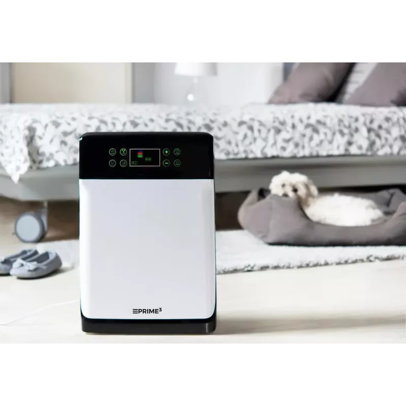 Air purifier SAP51