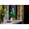 LEGO BOTANICALS 11504 Peace Lily
