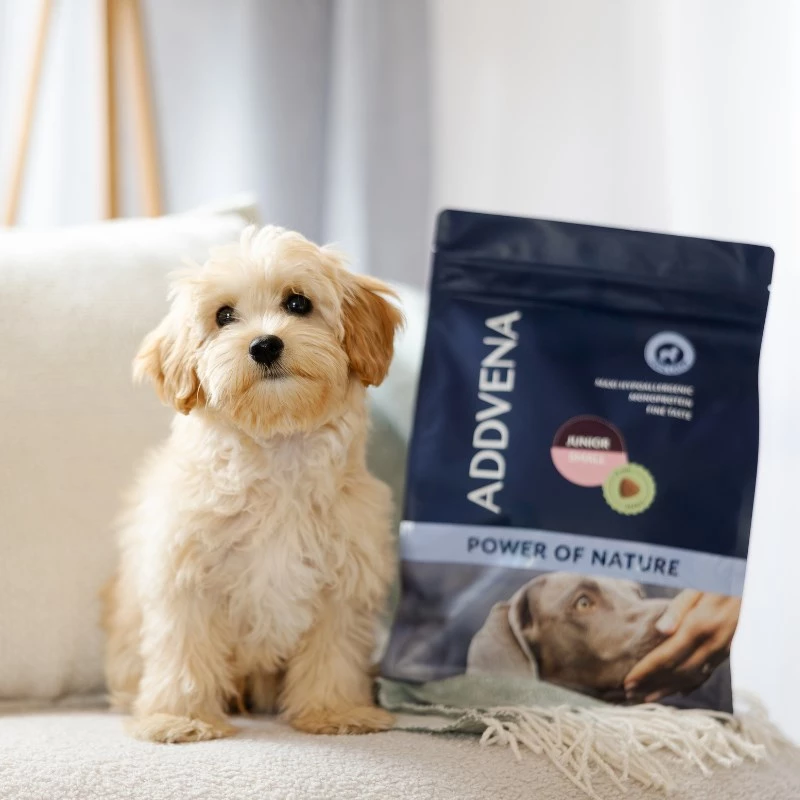 ADDVENA Power of Nature Junior Small Lamb - dry dog food - 2,5kg