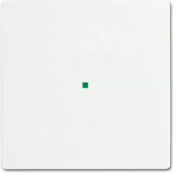 Busch-Jaeger 2CKA006220A0481 Cover Plate for Sensor Holder & -Socket White (2CKA006220A0481)