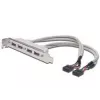 Slot Bracket Cable USB 2.0 HighSpeed Type 2xIDC (5pin)/4xUSB A M/F Grey 0.25m