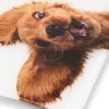 Scale Zelmer ZBS1010 White ZBS1010 Dog ZELMER