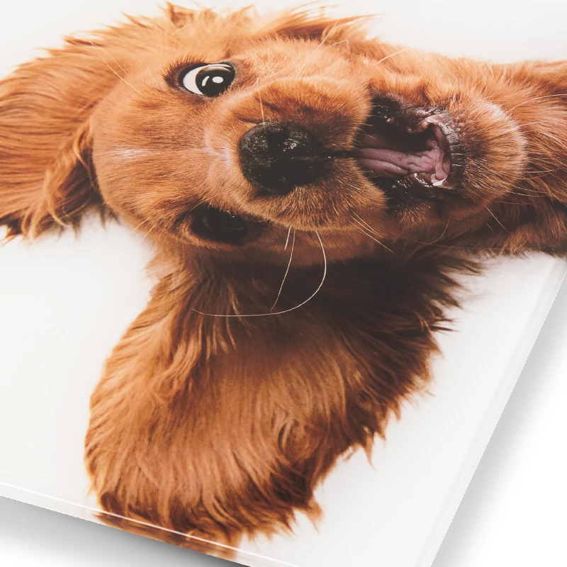 Scale Zelmer ZBS1010 White ZBS1010 Dog ZELMER