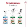 Wet dog food Royal Canin Mini Ageing 12+ Adult sachet 85 g — small breeds, poultry, senior