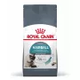 Dry cat food Royal Canin Hairball Care 10 kg — adult formula, corn & poultry