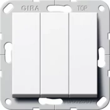 GIRA 283203 Electrical Switch 2P White (283203)