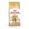 Dry Cat Food Royal Canin Bengal Adult 10 kg — Chicken, 40% Protein, 18% Fat