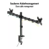 Dual monitor mount 17-32 10kg per arm