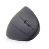 Gembird MUSW-ERGO-01 mouse Right-hand RF Wireless Optical 1600 DPI