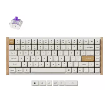 Wireless mechanical keyboard Keychron K2 Special Edition White RGB Backlit, compact 75% layout