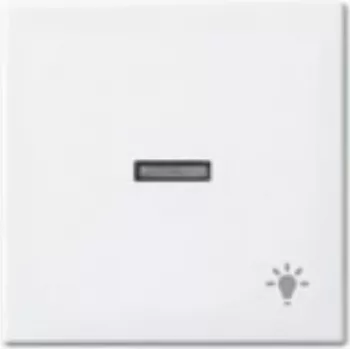 Busch-jaeger 2CKA001731A2017 Networking Device White