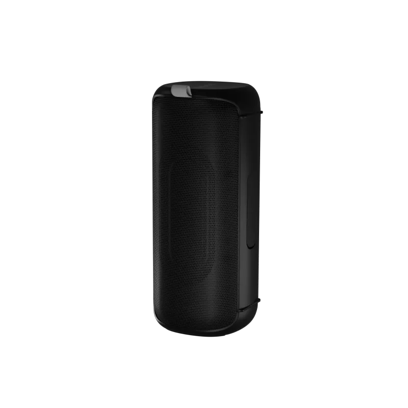 Stereo portable speaker Audictus Aurora Pro 20 W