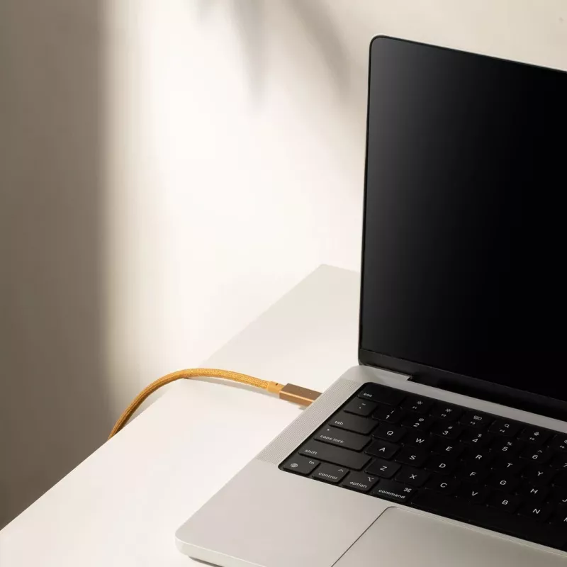 Cable USB-C to USB-C Native Union Belt Cable Pro 240W, 2.4 m, USB 2.0, 0.48 Gbit/s, Green