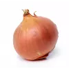 Wolska Onion Toraf Vegetable Seeds, 5g Pack