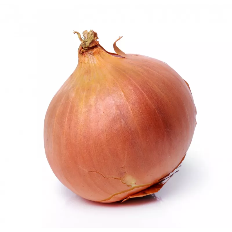 Wolska Onion Toraf Vegetable Seeds, 5g Pack