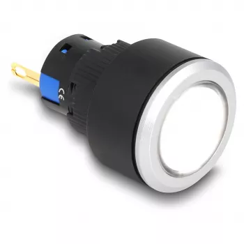 Industrial machine light DELOCK 22054 — LED lamp, 1 lamp, IP40/IP65, AC 250V 5A, Ø 2.5 cm, H 42 mm