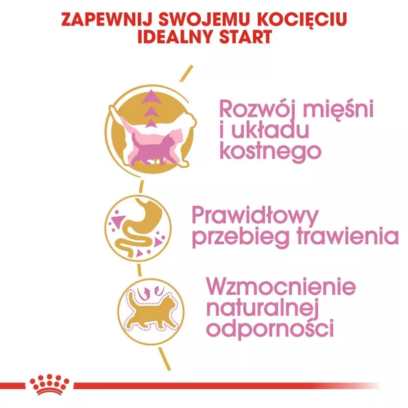 Dry Cat Food Royal Canin British Shorthair Kitten 2 kg – chicken, 38% protein, 20% fat, growth formula