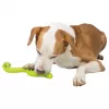Dog snack toy Trixie 34931, thermoplastic rubber, 270 mm, 220 g, green