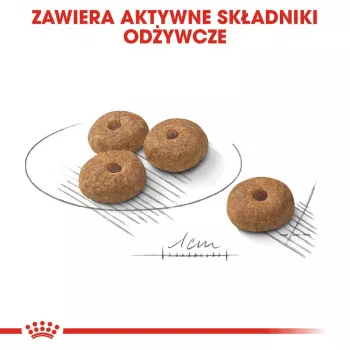 Dry Dog Food Royal Canin MINI Sterilised — Adult Small Breed 8 kg, Chicken, Dental Care, Weight Control