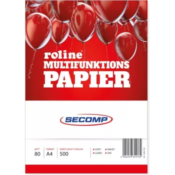 Printing paper ROLINE 16061125 A4 500 sheets White