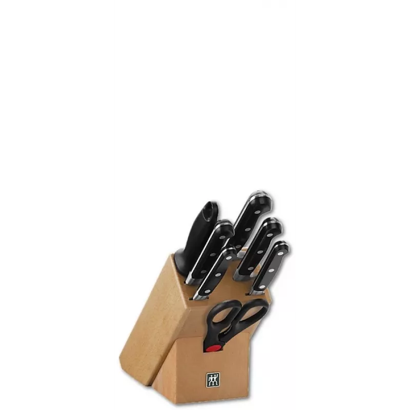 Knife set in block Zwilling Professional S