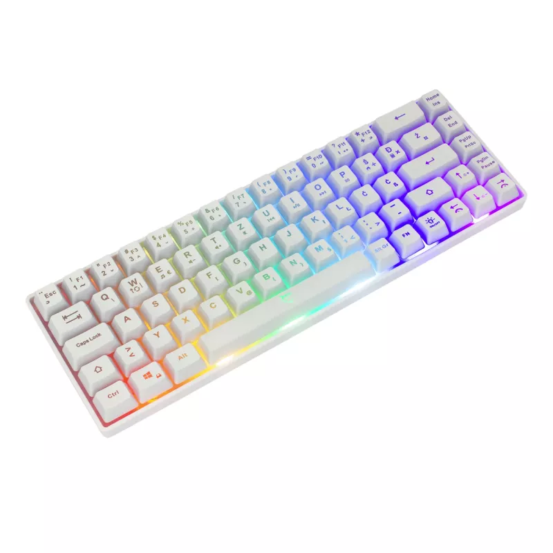 Keyboard White Shark RONIN White USB QWERTY 68 keys LED