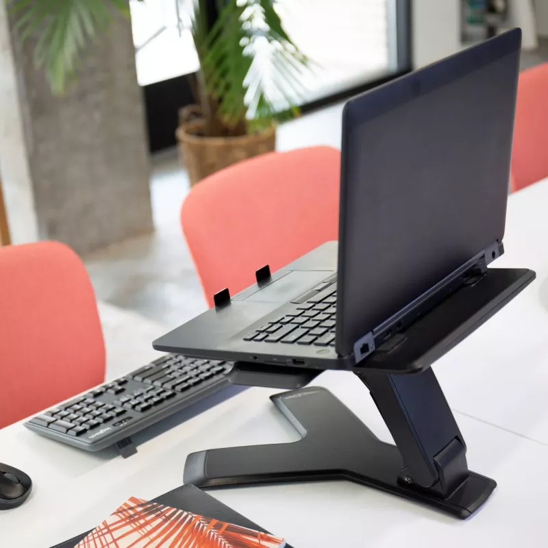 Laptop stand Ergotron Neo-Flex™ Notebook Lift Stand Black