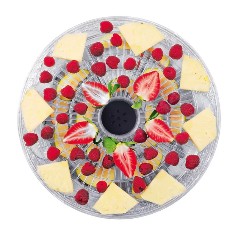 Food dehydrator Concept Solution SO2020, 500 W, LED display, silver, 220–240 V, 3.3 cm grate diameter