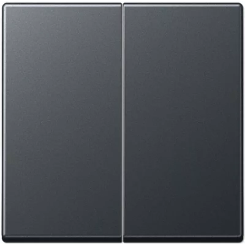 JUNG A 595 BF ANM. Produktfarbe: Schwarz (A595BFANM)