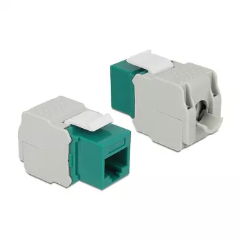 Keystone Module DeLOCK 86349