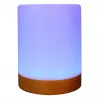 Ambient light RealPower 200 RGB with remote control