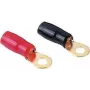 Hama 25 mm², M8, 2 Pcs, Ring, M8, 2 pc(s)
