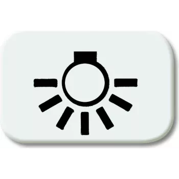 BJ - Reflex SI - Tastersymbol Licht *alpinweiss* (2525LI-214)