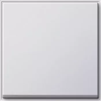 Gira 029666 Networking Device White