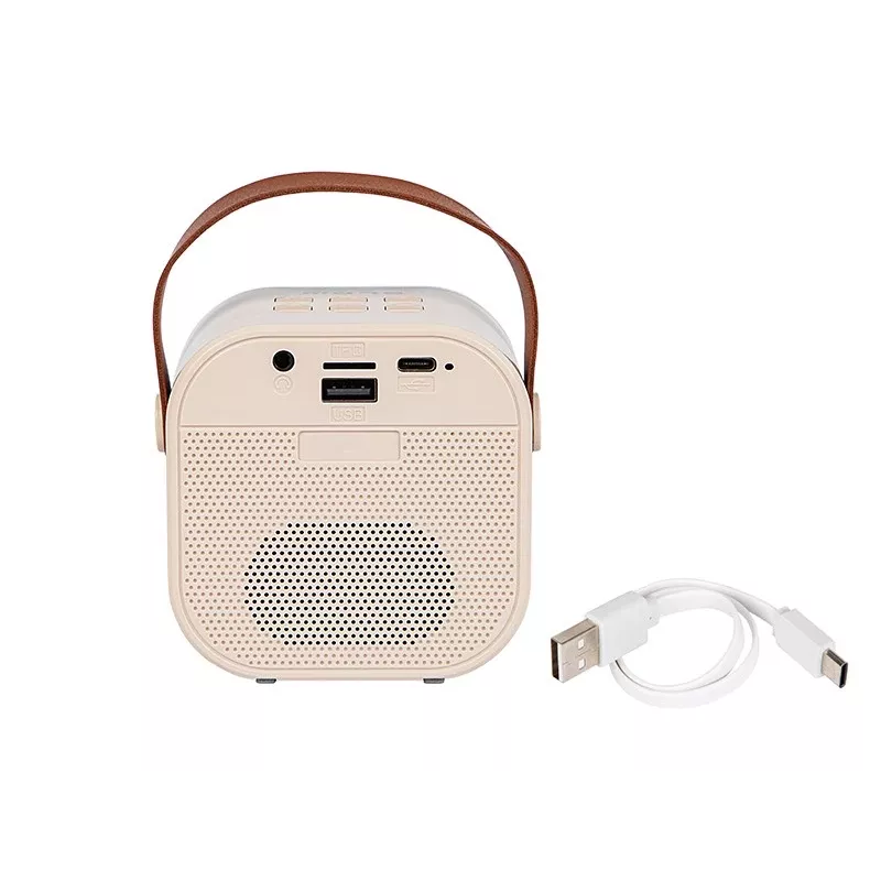 Karaoke Speaker, KARAOKE RGB Bluetooth Speaker, 30W