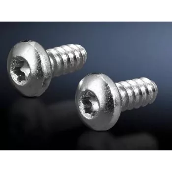 Screw pack Rittal 2486.600 — Allen hex screws for sheet metal, Ø 5.5 mm, thread length 13 mm, 300 pcs