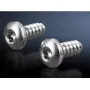 Screw pack Rittal 2486.600 — Allen hex screws for sheet metal, Ø 5.5 mm, thread length 13 mm, 300 pcs