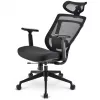Office Chair Sharkoon OfficePal C20 Padded seat Meshed backrest Black