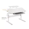 Ergo Office children ergonomic desk ER-483 — height-adjustable compact design