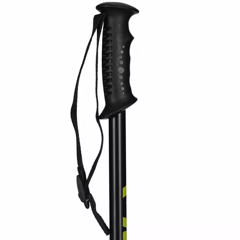 Trekking poles Viking Stig — adjustable Nordic walking poles, unisex, model 610/21/1247/09/UNI