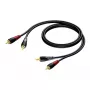 Audio cable Procab 2x RCA/Cinch male, 1 m length (model 1KPCL079)
