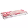 Ducky One 3 TKL keyboard Gaming USB QWERTY English Pink