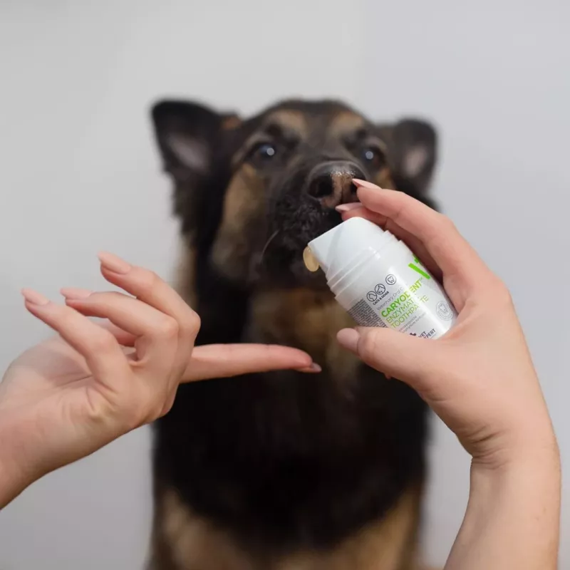 Dog toothpaste VETEXPERT Caryodent Enzymatic 50 ml — veterinary oral care, 50 g, sugar‑free, gluten‑free