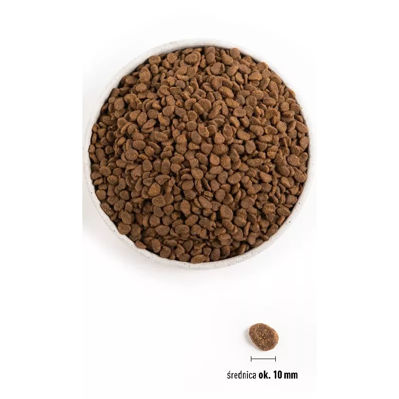 ORIJEN Six Fish Cat - dry cat food - 5,4kg
